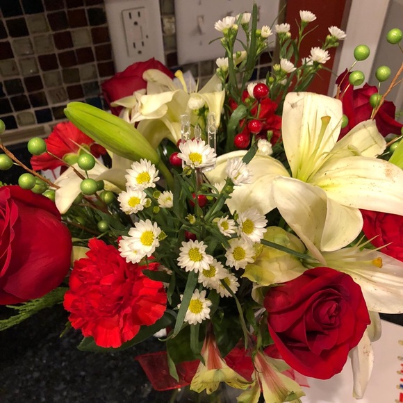 Meet your Posher, Eve - Picture 1 of 1